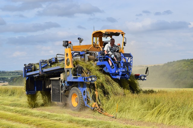 arrachage lin picardie