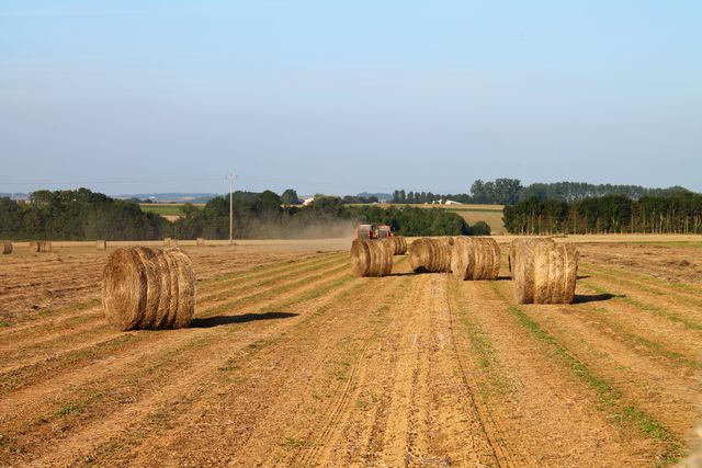 gite campagne somme juin