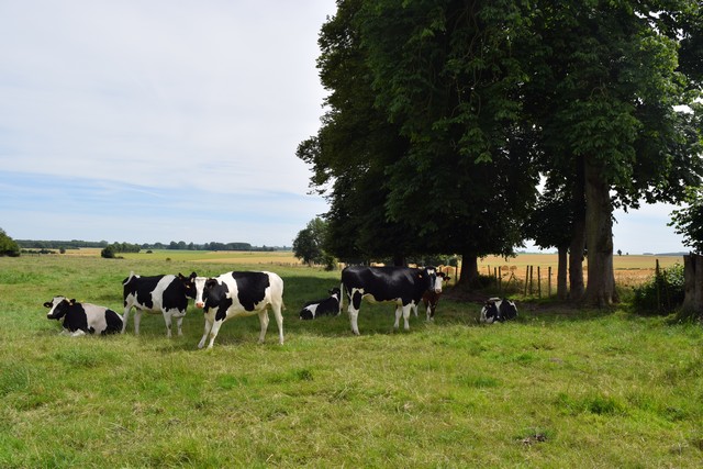 gite nature campagne