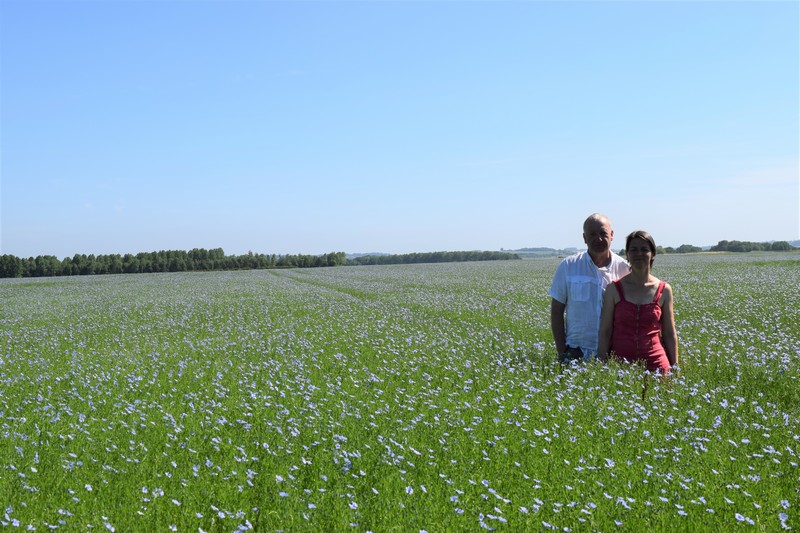 Ferme du lin lin picardie somme