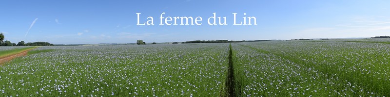 Ferme du lin